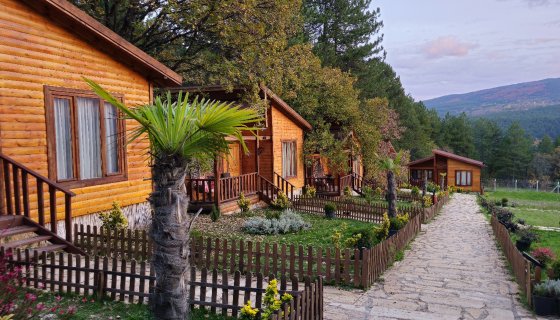 Bungalov